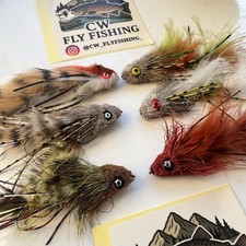 X6 Mini Trout Articulated