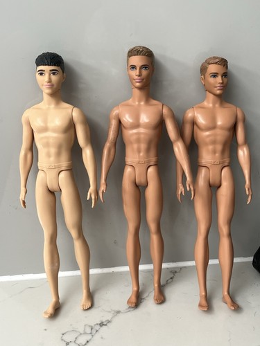Barbie ken doll bundle - barbie, x