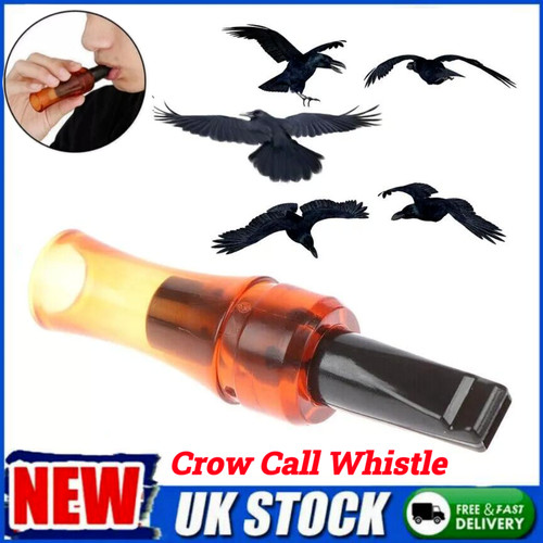 Outdoor crow rook - outdoor, call