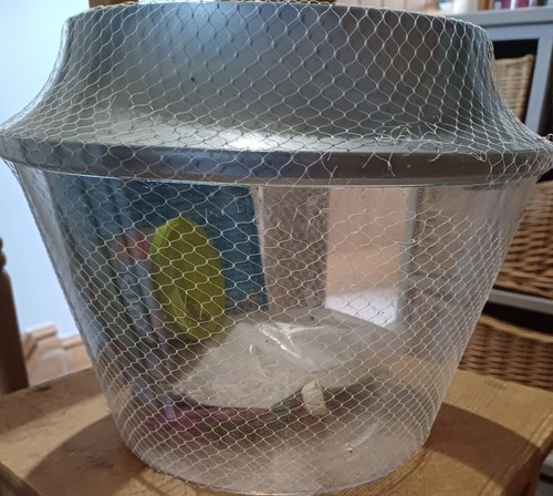 Gold fish bowl kit - with,