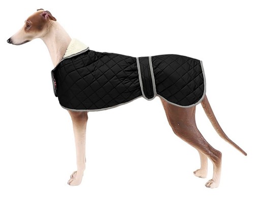 Morezi lrg greyhound whippet - morezi,