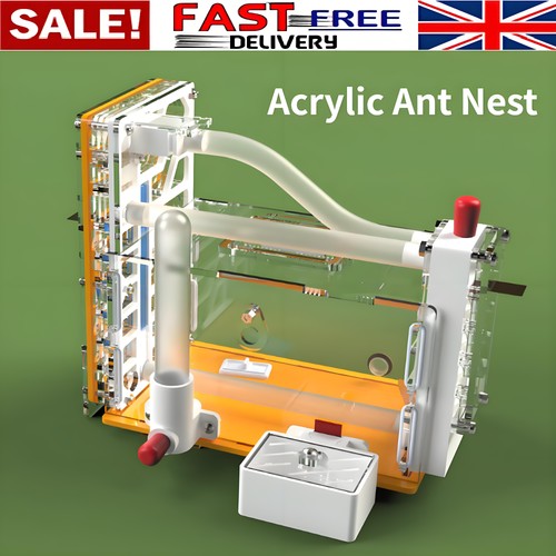 Ant house farm with - ant,