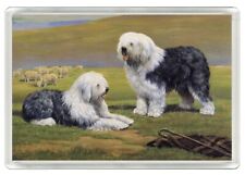 OLD ENGLISH SHEEPDOG TWO DOGS DOG ART PRINT ACRYLIC NOVELTY FRIDGE MAGNET GIFT