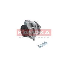 T0129 KAMOKA WATER PUMP FOR