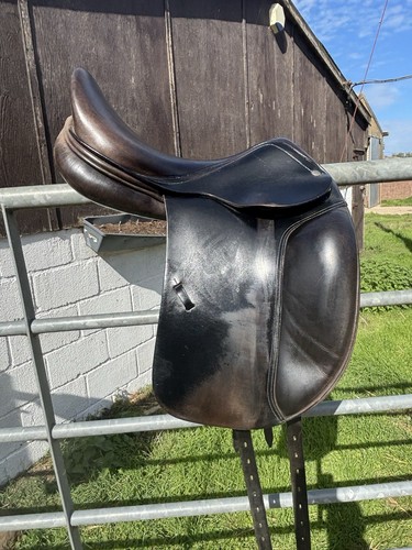 Amerigo black dressage - dressage, saddle