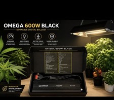 Omega black 600w - 600w, digital
