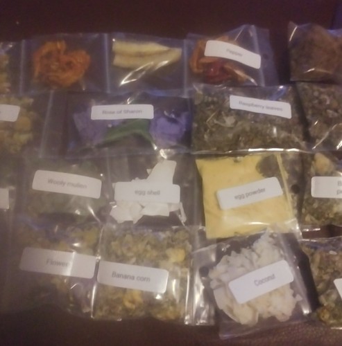 Land hermit crab food - crab, food/treat'