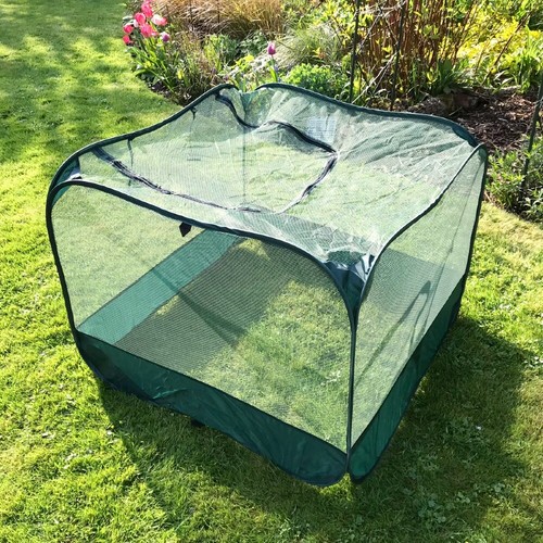 Garden plant pop - garden, cover