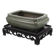  Cactus Bowl Bonsai Pots