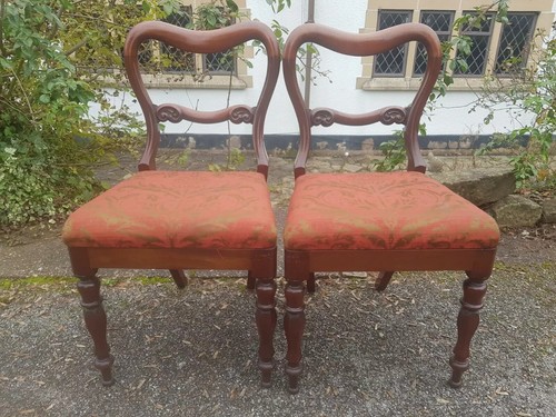 Beautifully shaped pair - beautifully,