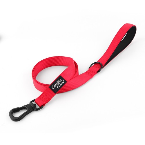 Snootiful hound secure locking - hound,