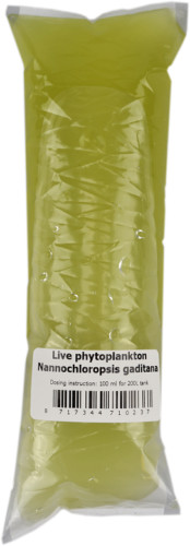 Phytoplankton live - phytoplankton,
