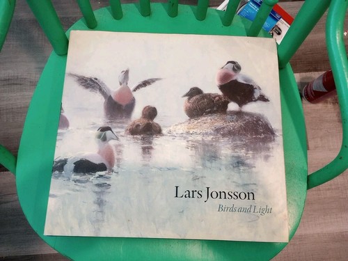 Birds and light lars - light,