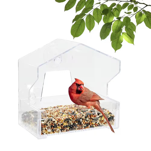 Clear window bird feeder - window,