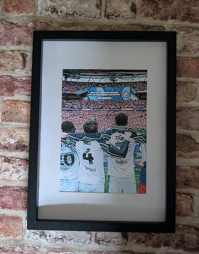 Sunderland afc play off - sunderland,