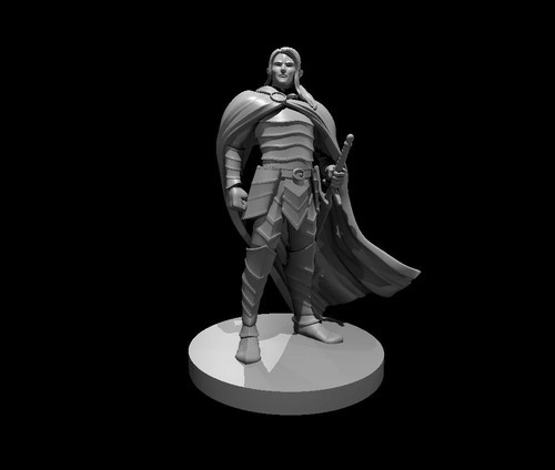 Dungeons dragons elf male - &,