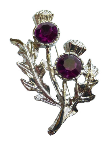 Scotland thistle brooch - thistle,
