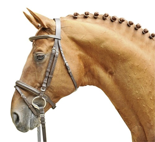 Hkm lou shetland pony - hkm,