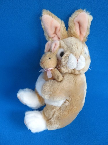 Bunny rabbit lapin - x,
