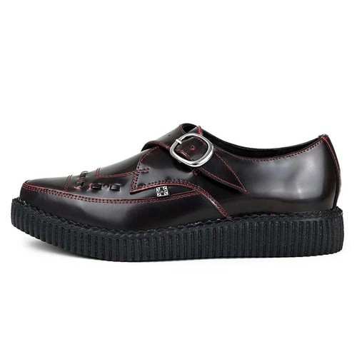 Pointed creeper - pointed,