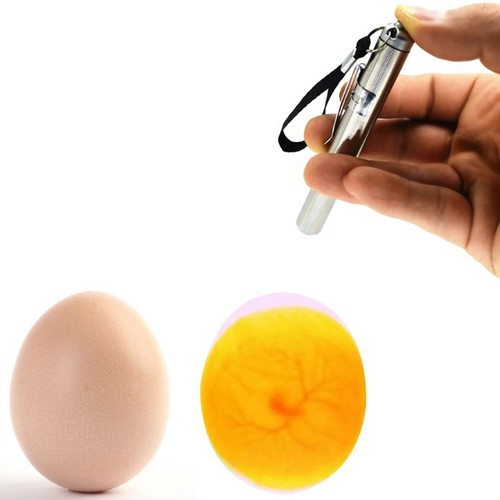 Led egg candler incubator - 1, pc