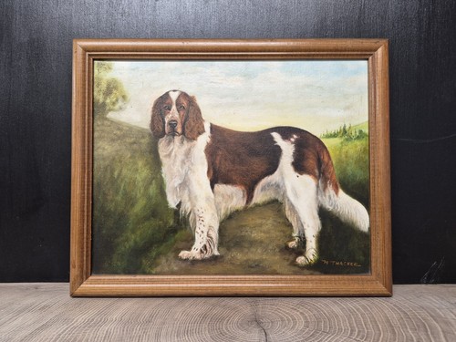 Vintage oil painting dog - oil,