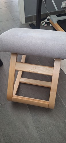 Ergonomist kneeling chair - ergonomist,