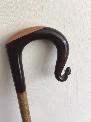 African blackwood hazel - african,