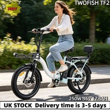 TWOFISH TF2 Folding Electric