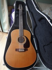 12 String Acoustic Seagull