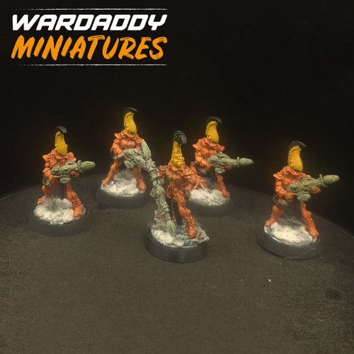 Pro painted warhammer - warhammer, oop