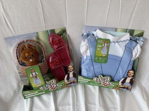 Wizard dorothy costume - wizard,