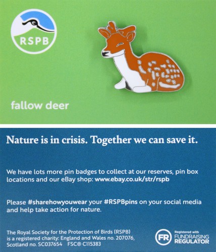 Rspb pin badge niic fallow - rspb,