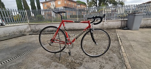 Daccordi top alloy - racing, bike