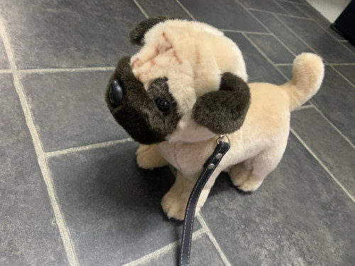 Pug dog plush soft toy - pug,
