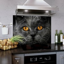 Glass Splashback Kitchen Tile Cooker Panel ANY SIZE Cat Animal Photo Art 1103