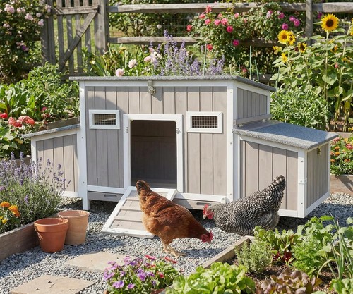 Petscosset chicken coop - petscosset, for