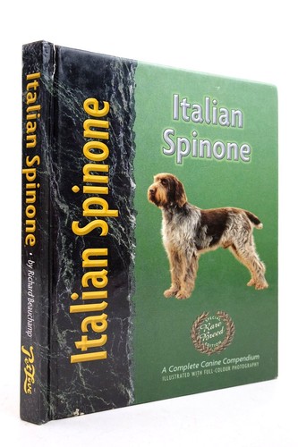 Italian spinone beauchamp - spinone,