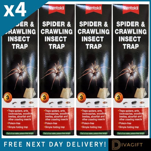 Rentokil spider glue - 4,