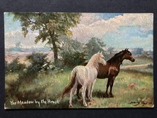 Horses in the Meadow by the