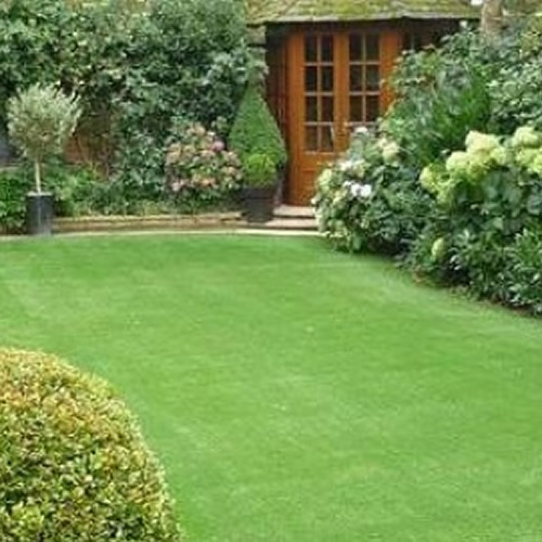 20kg back lawn - lawn, seed