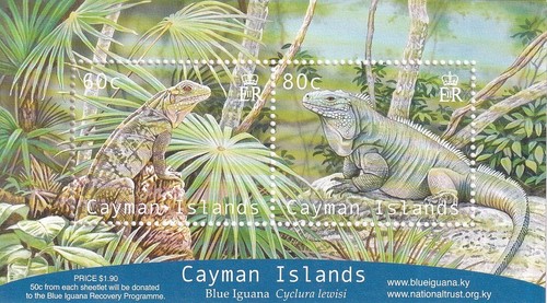 2004 cayman islands iguana - 2004,
