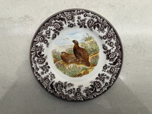 Spodewoodland grouse side - spodewoodland,