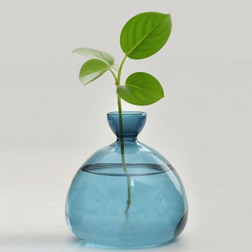 Avocado tree glass pot - tree,