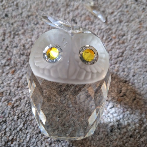 Large swarovski owl - large,