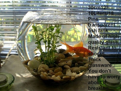 Clear glass fish bowl - fish, round