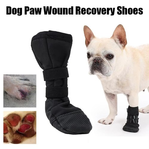 Waterproof dog protective - waterproof,