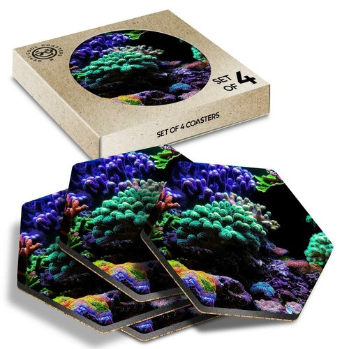 Hexagon coasters pretty - 4,