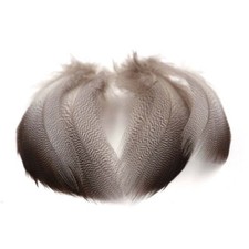 Mallard Duck Bronze Shoulder 10 Pack Of Feathers Durham Ranger