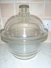 Vintage Glass Lab 9.5in